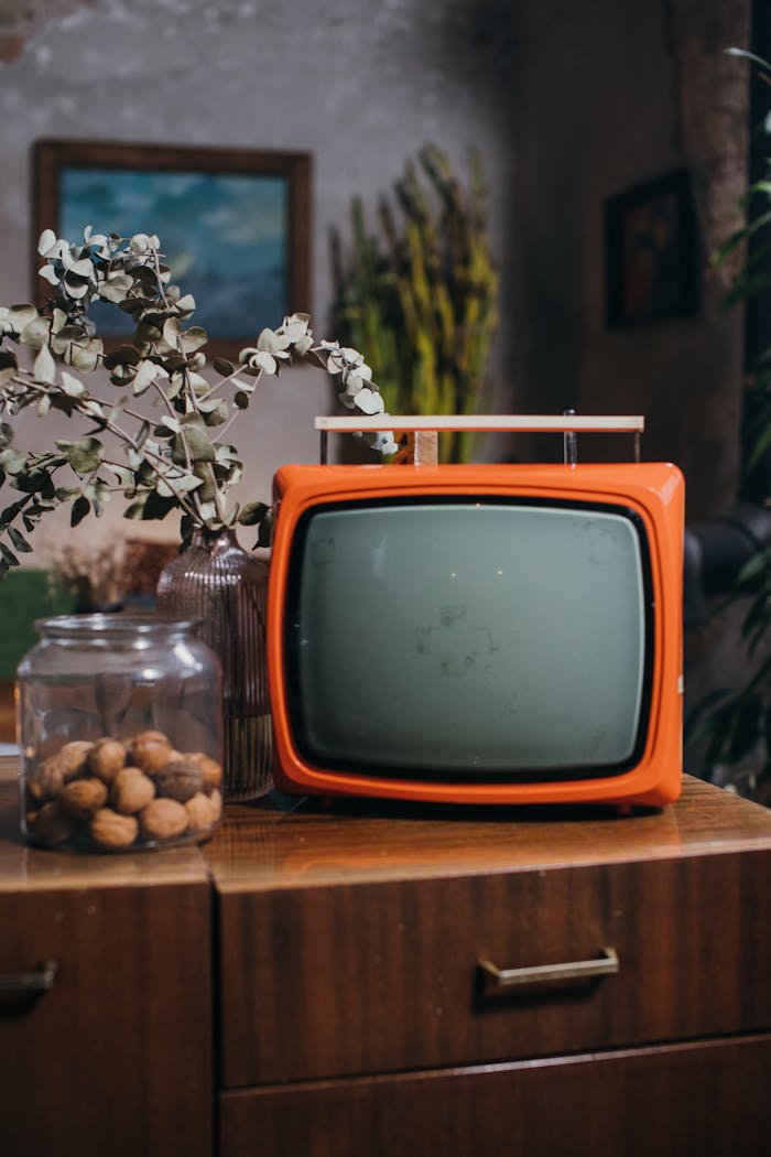 Vintage orange television set on a wooden cabinet with walnuts and dried plants.